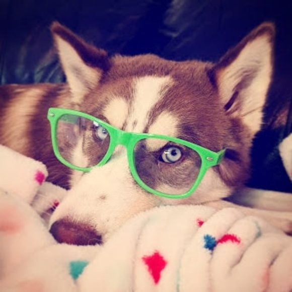 Meet your Posher, Autumn - Picture 8 of 8